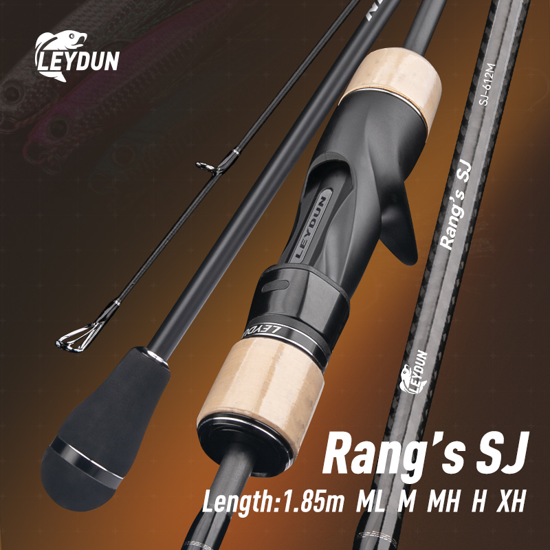 LEYDUN Rang’s SJ Slow Jigging  - Fishing Rod Surf recension och pris